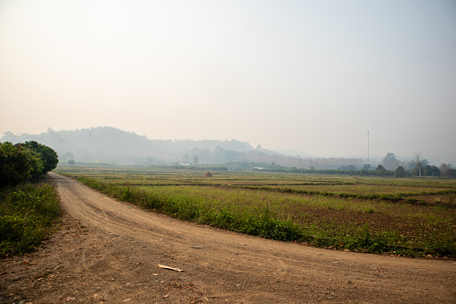 A dirt road (Country road) in a rural area with views of villagers' farm fields.