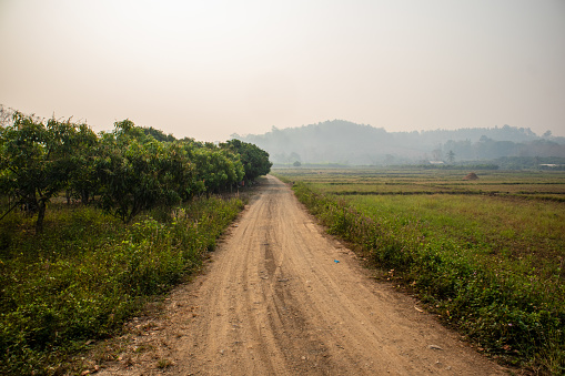A dirt road (Country road) in a rural area with views of villagers' farm fields.