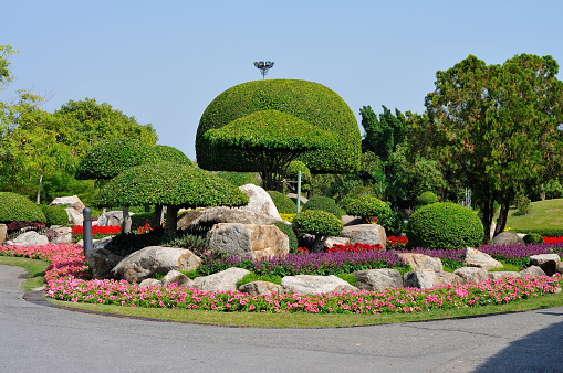 A Very Well-maintained Park with Lovely Plants and Flowers
