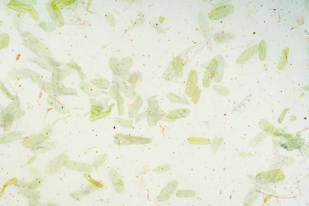 Craft paper made out of recycled paper