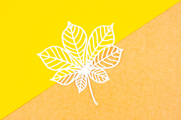 Vein texture seen through the leaves, large green leaves