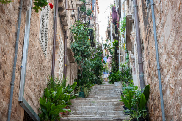 Steps between stone residential walls with potted plants typically European in Dubrovinik Croatia.