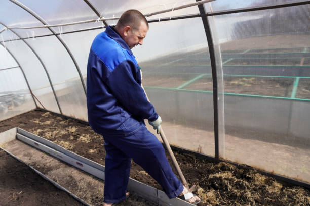 Обработка теплицы весной от болезней и вредителей Обработка теплицы весной от болезней и вредителей