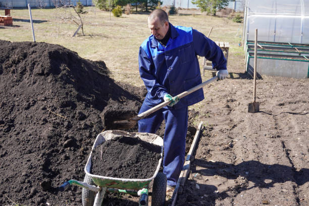 istock A man works in a vegetable garden in early spring. 2149194974