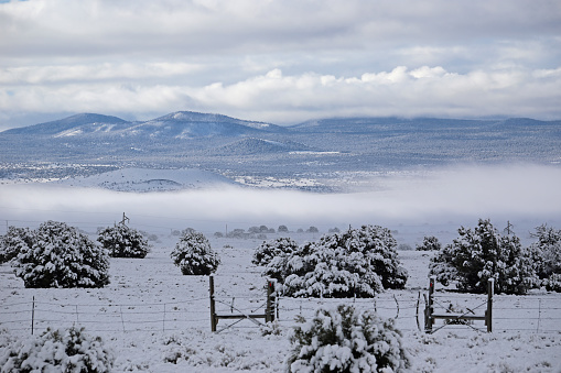 A snowy landscape with barbed wired fence gate in front of misty fogbank below the snow covered White Mountains of Arizona for a background.