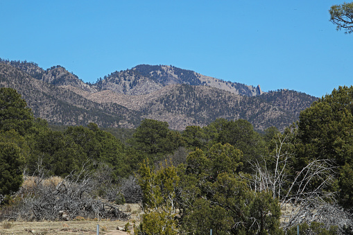 The coniferous forested southern slopes of the Capitan Mountains with 9335ft Sunset Peak in the background as seen from Baca Campground of Lincoln National Forest in New Mexico.