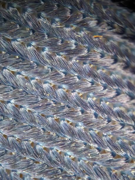 istock Super Macro photography of artificial leather 2149201193