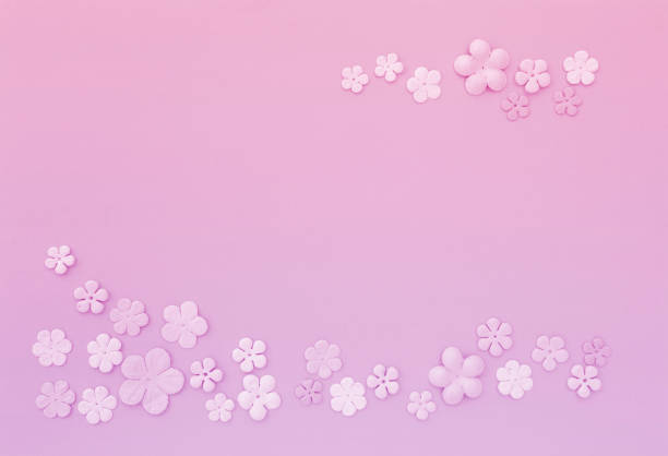Pink flower card background, spring season concept, valentine card background idea