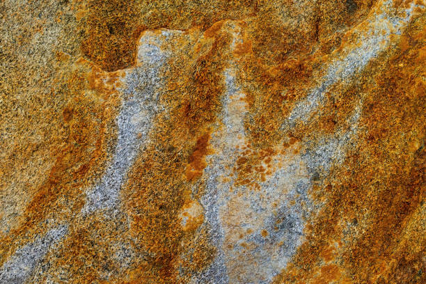Rock Springs in Wyoming. White Mountain with Petroglyphs. Location is part of a cultural landscape that is culturally important to four Native American tribes, featuring rock art panels dating back 200+ years. This is a fee-free site.
