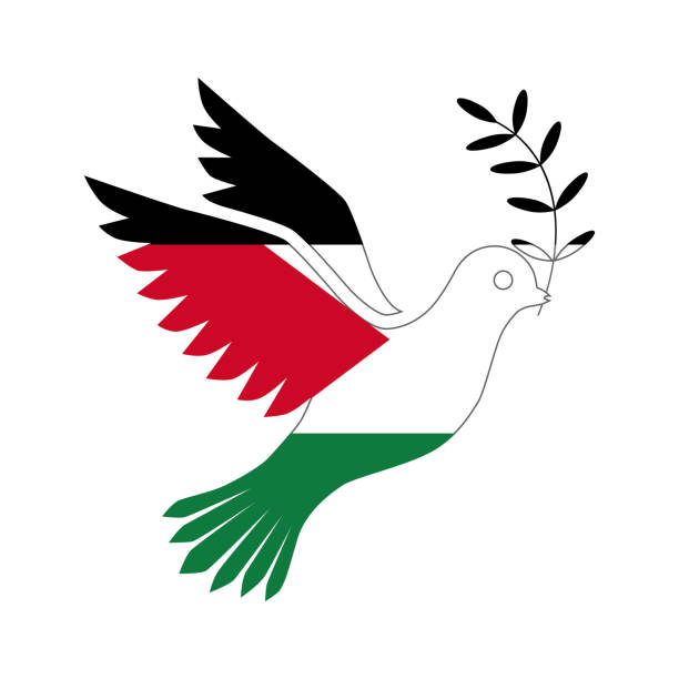 seekor merpati perdamaian dalam warna bendera jalur gaza. merpati adalah burung, simbol perdamaian, dengan cabang zaitun di paruhnya. ilustrasi vektor. - free palestine in arabic ilustrasi stok