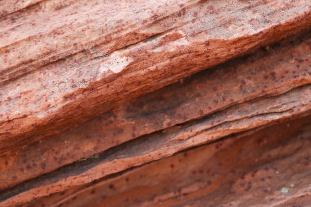 Close-up on the texture of rock layers