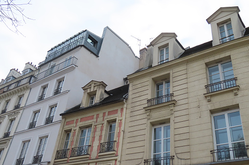 parisian houses and trees, typical city view. High quality photo