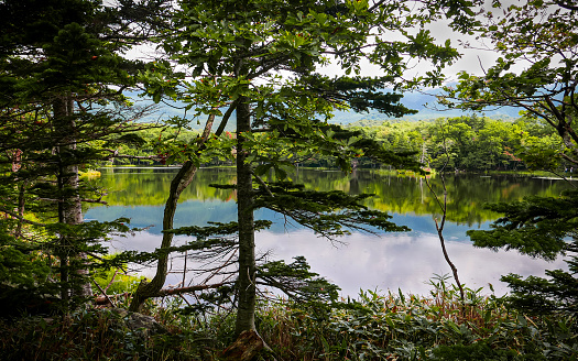 An attractive scenery at a noon of late summer from a corner of the Yonko (fourth) lake of Shiretoko Goko Lakes in Shiretoko National Park, a UNESCO World Natural Heritage site in Hokkaido of Japan.