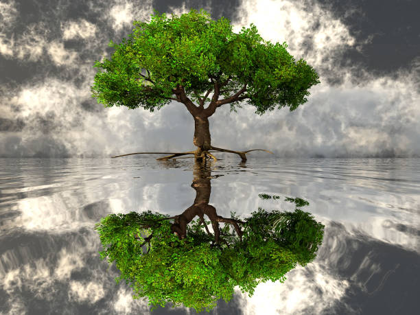 istock the green tree and the water 2149208740