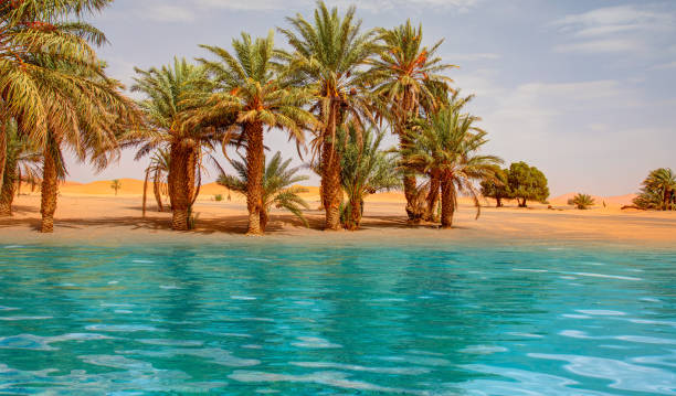 istock Sand dunes surround the oasis with palm tree and lake - Sahara, Morocco 2149209440