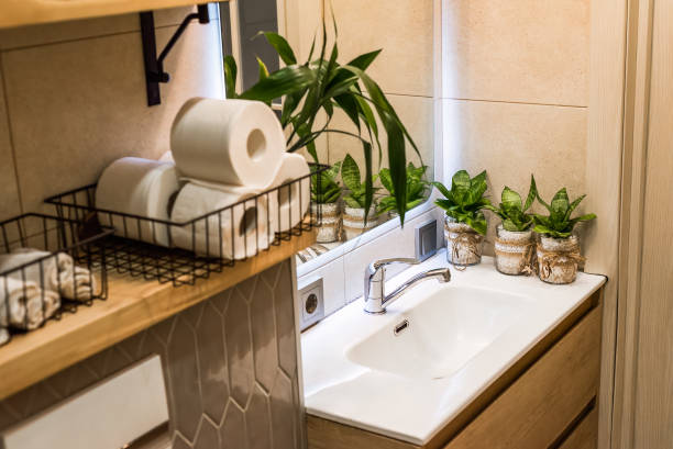 istock Sansevieria flowers in pots standing on sink as a bathroom decoration 2149209470