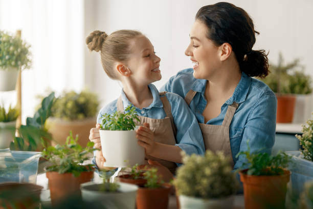 istock Family caring for plants 2149209494