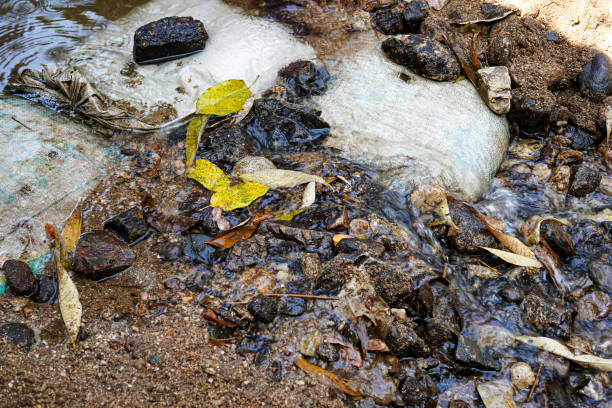 Creating a water basin by modifying a clear water stream barrier and treating it to make it clean is another way of conserving water resources and keeping natural water sources clean at all times.
