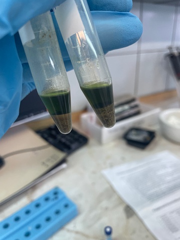 an experiment in a test tube. toxicological inspection of plants. work in the laboratory of forensic toxicology. two test tubes with a green solution. a two-layer solution of different colors. laboratory testing.
