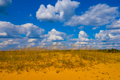 sandy prairie under blue cloudy sky