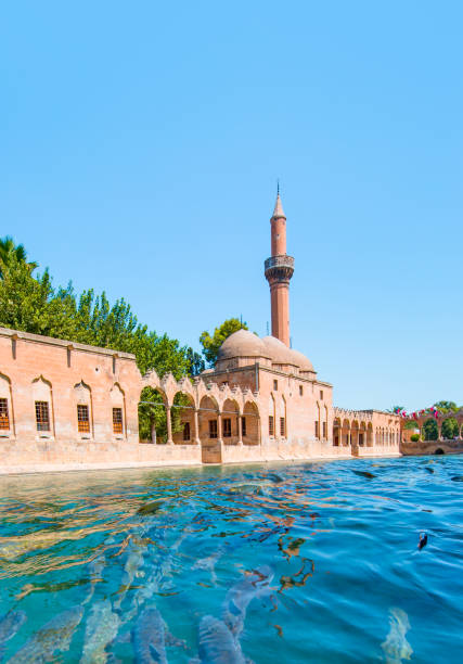 istock Urfa Holy Lake with sacred fish in Golbasi Park - Urfa, Turkey 2149214916