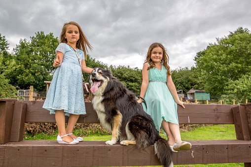 Two young cousins with dog on farm