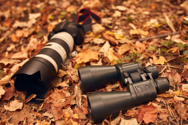 Binoculars and camera for birdwatching and other observing animals in nature.