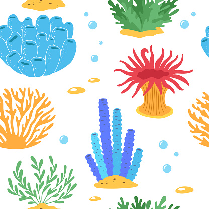Coral and ocean plants seamless pattern. Underwater flora and seaweed. Aquatic plant, tropical seabed elements vector background for textile, packaging.