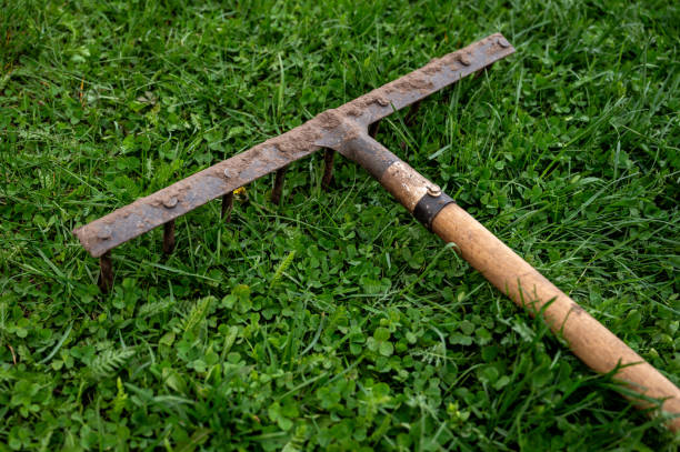 istock garden rake on green grass in the garden. Selective focus. 2149217162