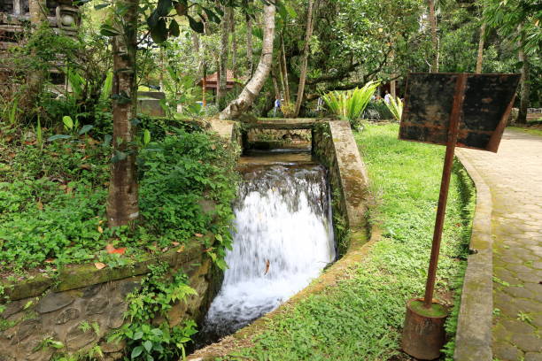 Tampak Siring, Tampaksiring, Bali in Indonesia - January 31 2024: people take a bath in the Tirta Empul temple (Holy Spring Water Temple)