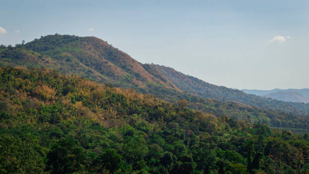 istock High mountain landscape with green trees 2149217902