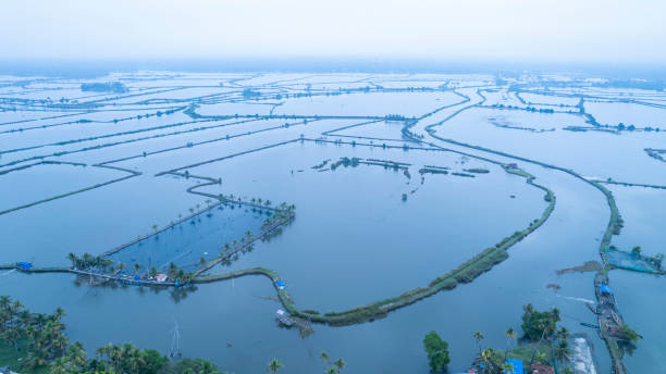 460+ Kuttanad Stock Photos, Pictures & Royalty-Free Images - iStock