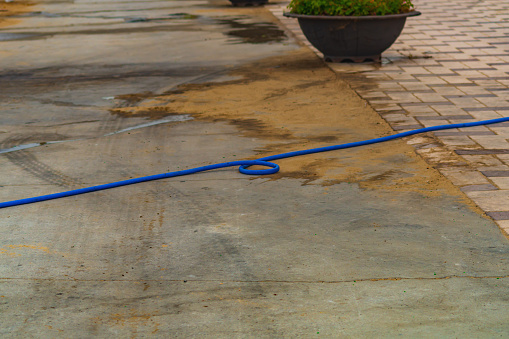 The blue irrigation hose bent like a loop and blocked the water intake. Unpleasant features of irrigation work with elastic materials with long dimensions.