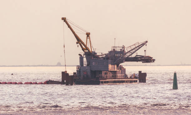 istock A sea crane stands on the water 2149220144