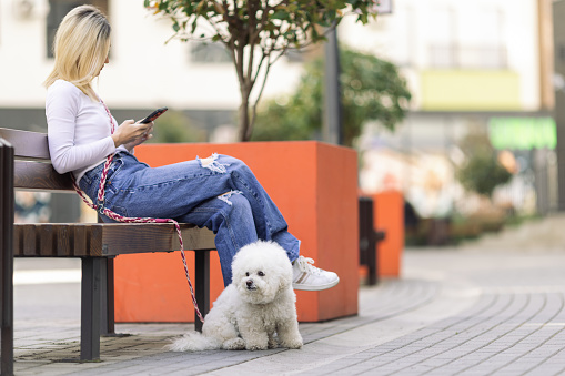 Young blond woman sitting on a bench with her pet dog, downtown, taking a break from walking, typing on her phone. She is dressed casually, jeans and white blouse, she looks relaxed and carefree.