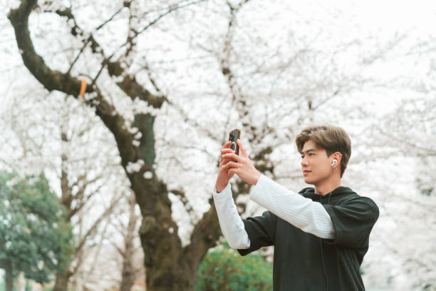 Young Asian man in sportswear using mobile phone taking selfie or vlogging with full bloom cherry blossom during jogging exercise at city street in the morning. Healthy guy do sport training running workout in the city.