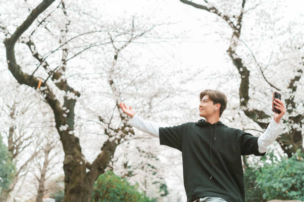 Young Asian man in sportswear using mobile phone taking selfie or vlogging with full bloom cherry blossom during jogging exercise at city street in the morning. Healthy guy do sport training running workout in the city.