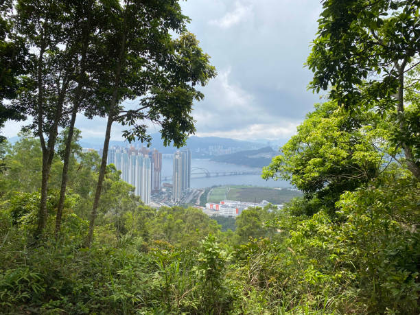 istock Urban Oasis: Where City Skylines Meet Nature’s Embrace 2149221663