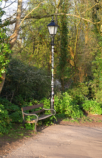 Bristol, England- March 29, 2024: Bench under a street lamp in a park in Bristol city