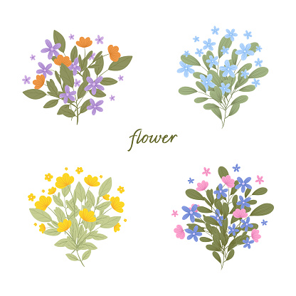 Set of different bouquets with garden and wild flowers. Vector hand drawn illustration. Collection of various blooming plants with stems and leaves isolated on white background.