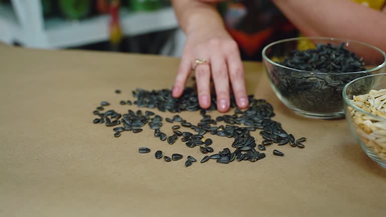 Woman holds sunflower seeds in hand, a key ingredient for a delicious recipe. Close-up hands scattering black roasted sunflower seeds on the table. Natural products with vitamins for human health.