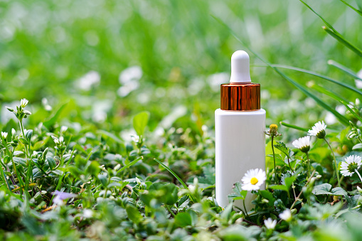 Serum in white glass bottle, green nature background. Aromatherapy oil, concept of natural cosmetic