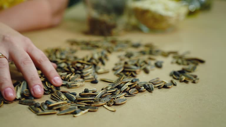 Reaching for sunflower seeds, a key ingredient in many recipes for comfort food. Close-up, a woman hand lays out sunflower seeds on the table, sorting them out. Healthy food, natural product.