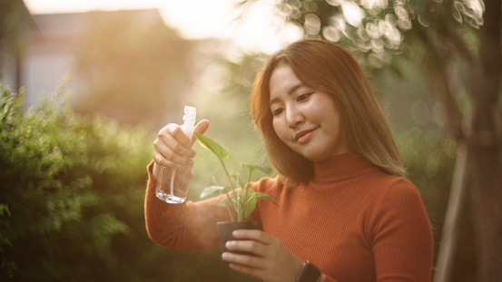 Young asian woman spraying water to the small plants during sunset.