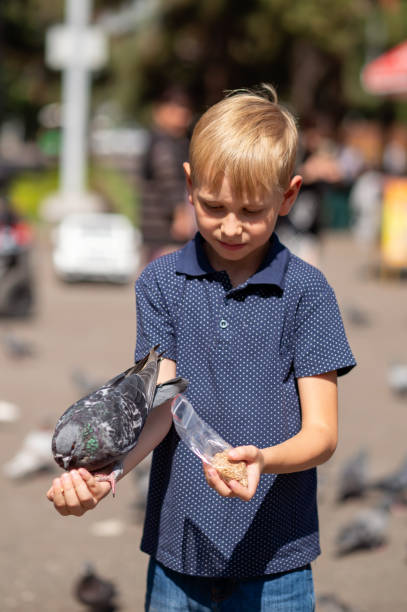 istock A little blond boy feeds pigeons in the park. Selective focus. 2149224309