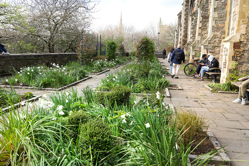 Bristol, England- March 30, 2024: The Castle Park physic garden, a green open space in Bristol city centre. St. Peter's Church in the background