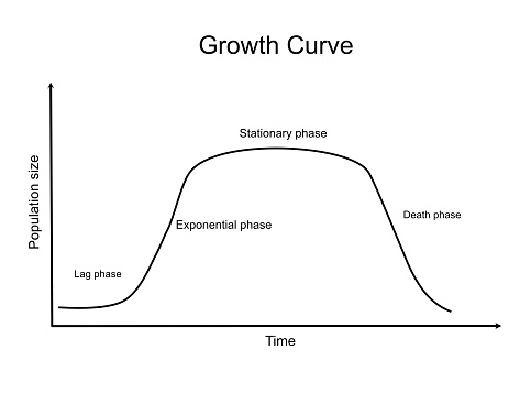 The growth curve of relationship between population size and the growth period that consists of a lag, Exponential or log, stationary and death or decline phase.