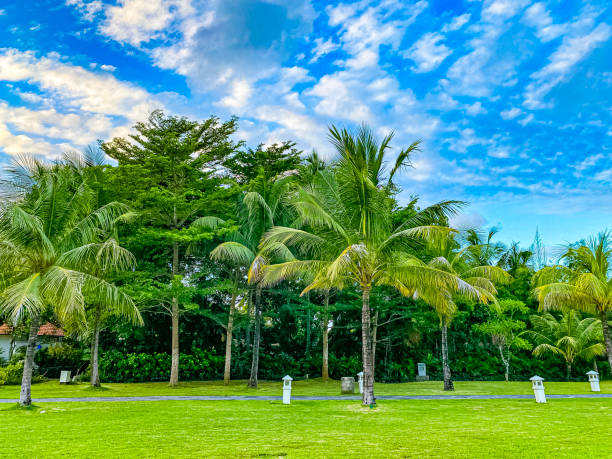 Greenery garden and pathway near the beach.