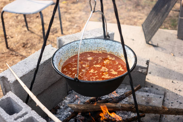 Goulash is cooked in a pot over a fire in the backyard during the summer. No people