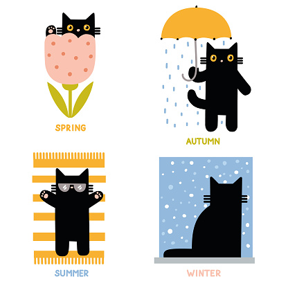 Vector illustration of a cute funny cat at different seasons